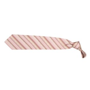 Tienamic tie