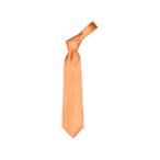 Colours necktie