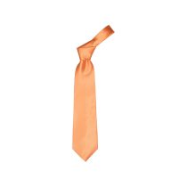 Colours necktie