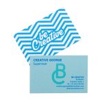 Visicard Safe custom tearproof business cards
