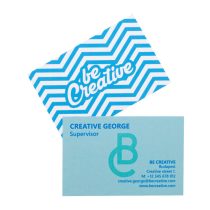 Visicard Safe custom tearproof business cards