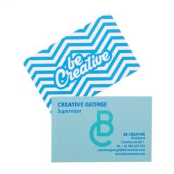 Visicard Safe custom tearproof business cards