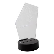 Ledify LED light trophy