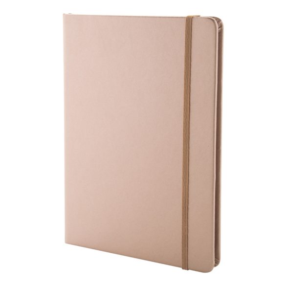 Bodley notebook