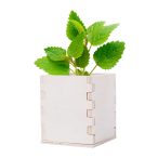 Merin mint herb pot