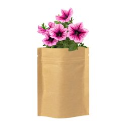 Sober flower planting kit