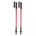 Brulen nordic walking sticks