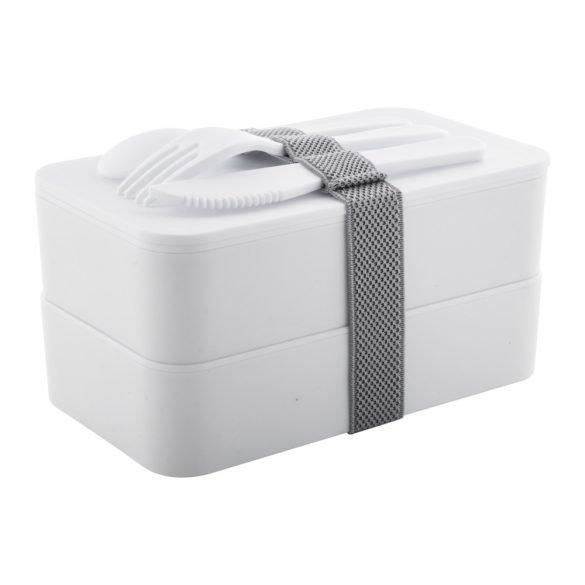 Fandex anti-bacterial lunch box