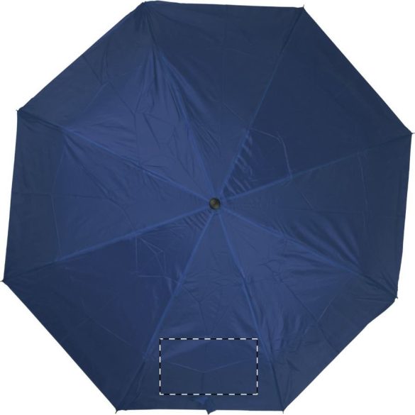 Alexon umbrella