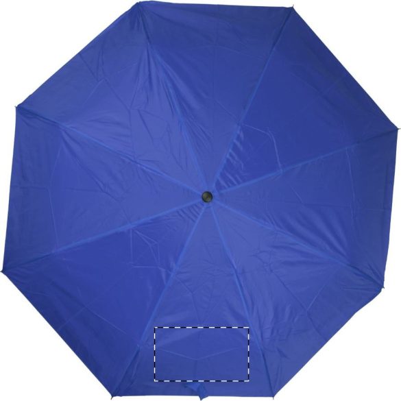 Alexon umbrella