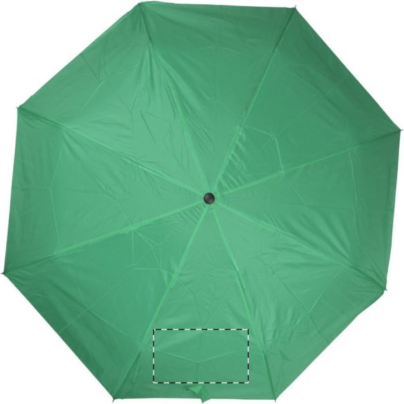 Alexon umbrella