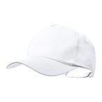 Pickot baseball cap