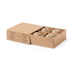 Solmi herb growing kit