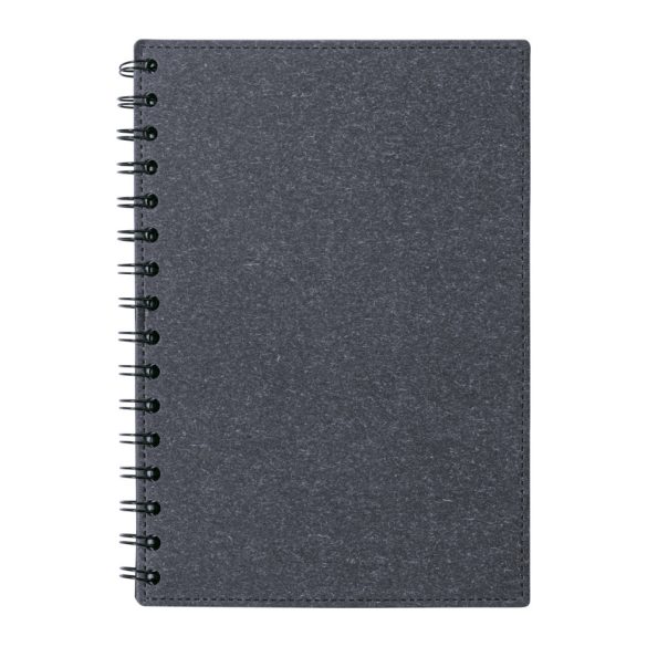 Idina notebook