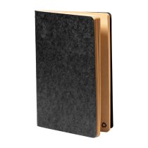 Rayish notebook