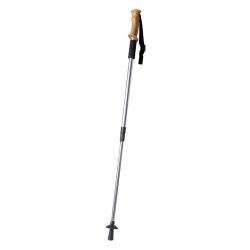 Sells nordic walking stick