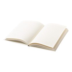 Rebrick notebook