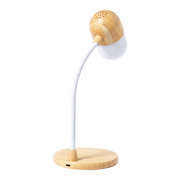 Lars multifunctional desk lamp