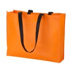 Tucson shopping bag