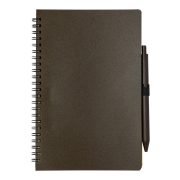 Alanna notebook