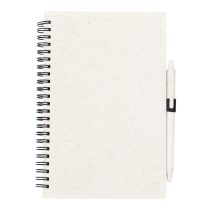 Emily notebook