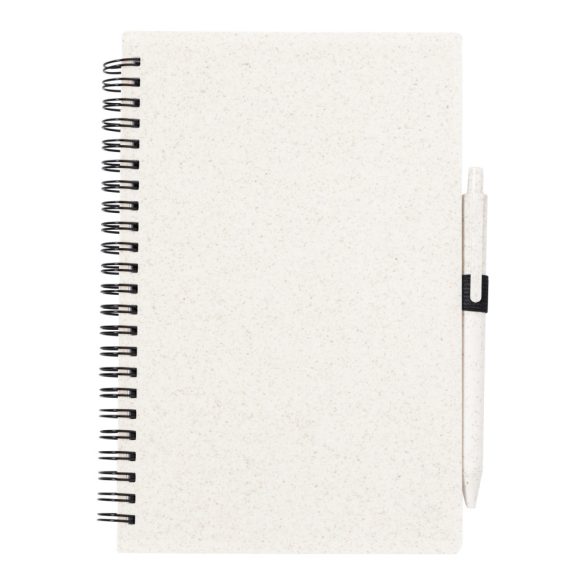 Emily notebook