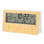 Roamer weather station