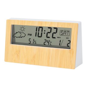 Roamer weather station