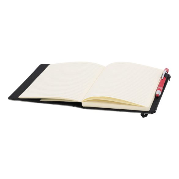 Katz RPET notebook