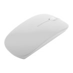 Lyster optical mouse