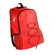 Compen backpack