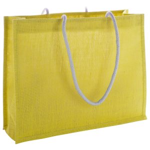 Hintol beach bag