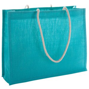 Hintol beach bag