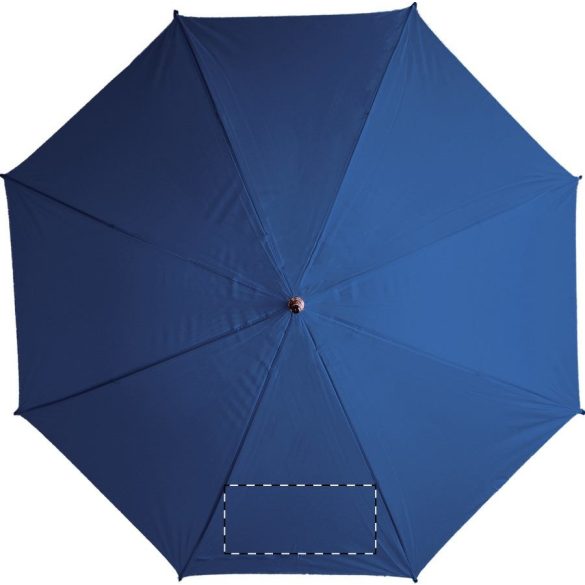 Santy umbrella