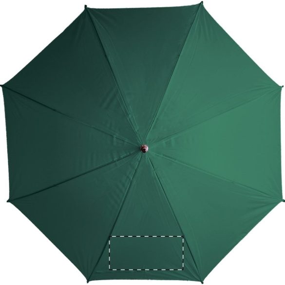 Santy umbrella