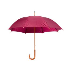 Santy umbrella