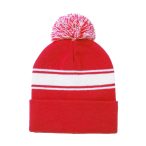 Baikof winter hat