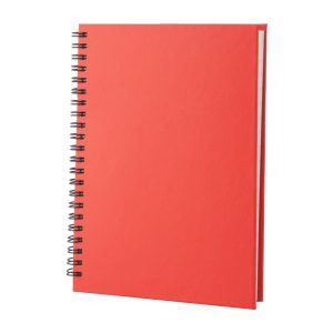 Gulliver notebook