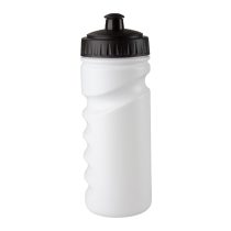 Iskan sport bottle