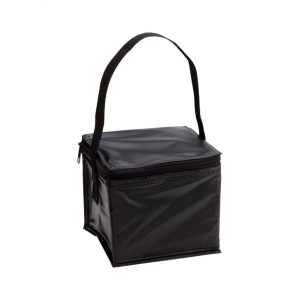 Brava cooler bag