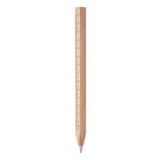 Burnham Black ballpoint pen with ruler