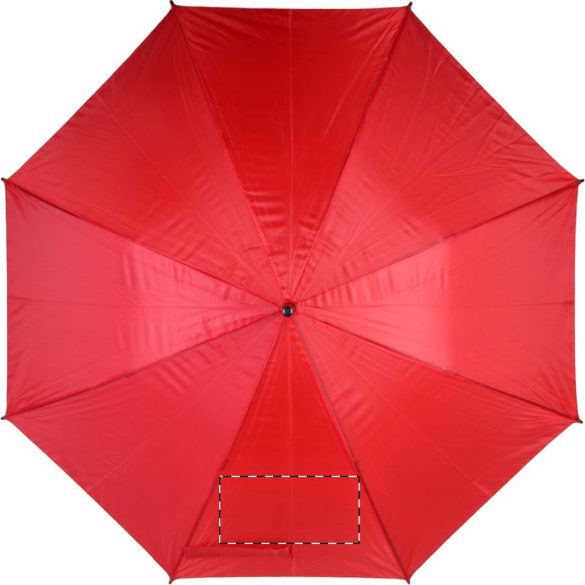 Typhoon umbrella