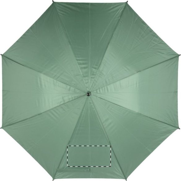 Typhoon umbrella