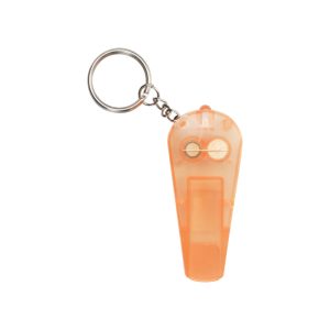 Coach keyring with whistle