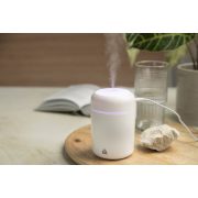 Rapor RABS humidifier