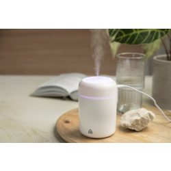 Rapor RABS humidifier