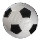 Football - Champion