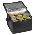 Non woven cooler bag Nieby