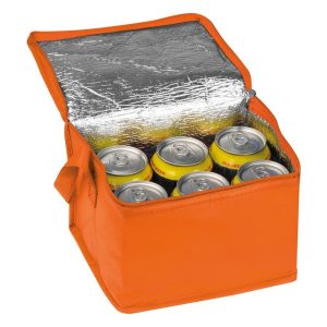 Non woven cooler bag Nieby