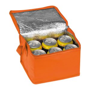 Non woven cooler bag Nieby